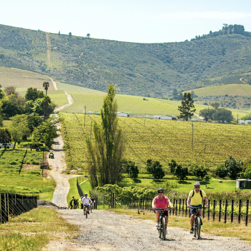 Stellenbosch: Half Day Winelands EBike Tour