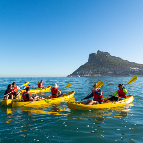 Cape Town: 1 Hour Harbour Secrets Kayak Tour